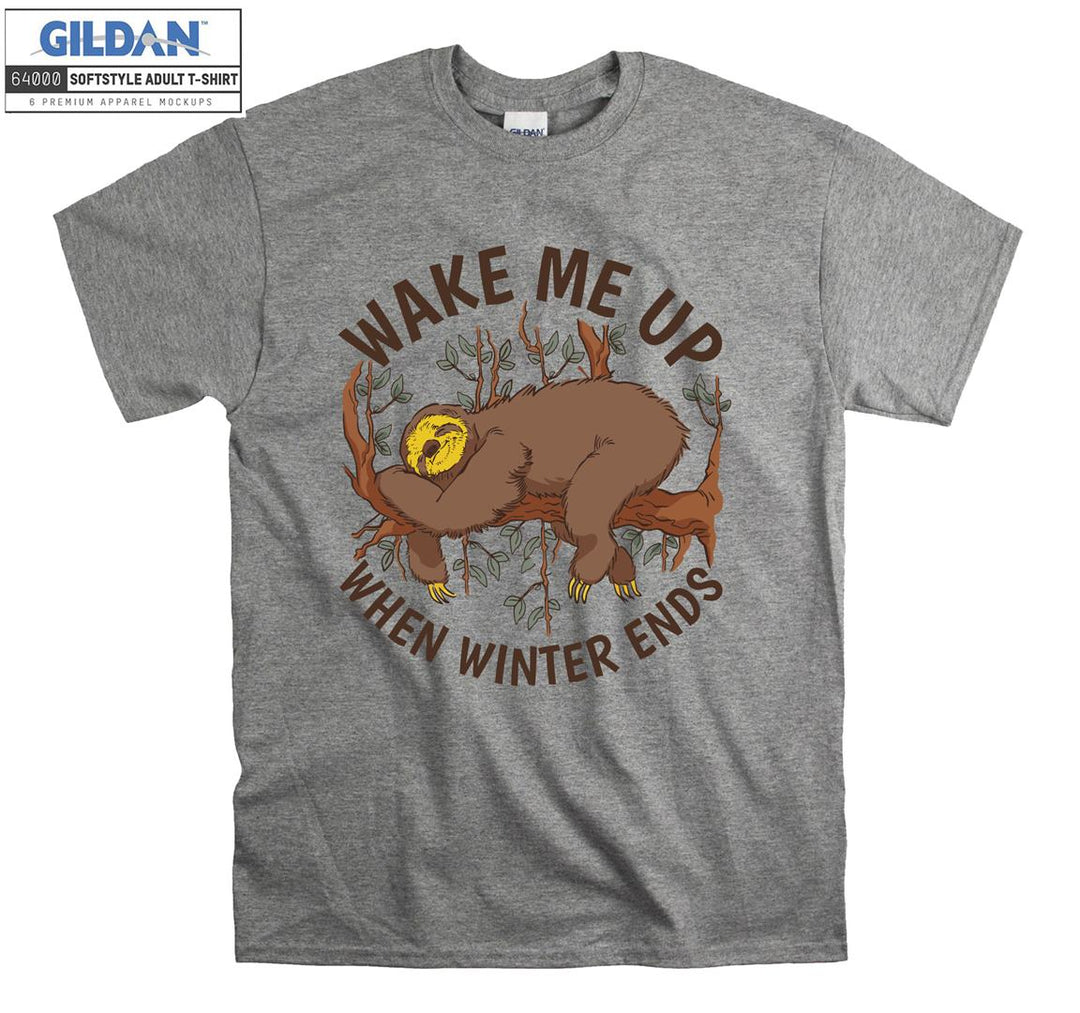 Wake Me Up When Winter Ends T-shirt