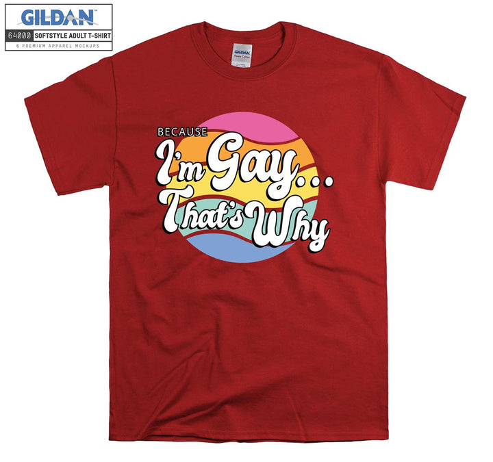 Because I'm gay that's why figure lgbt T-shirt