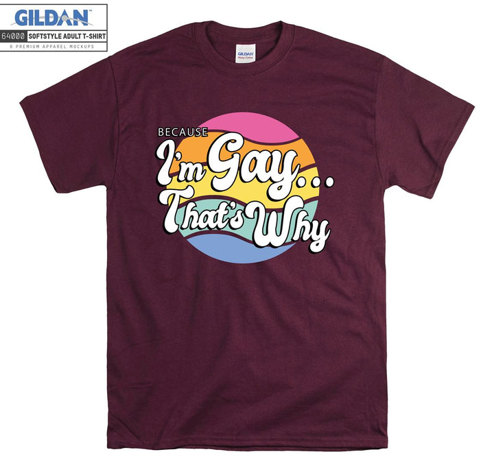 Because I'm gay that's why figure lgbt T-shirt