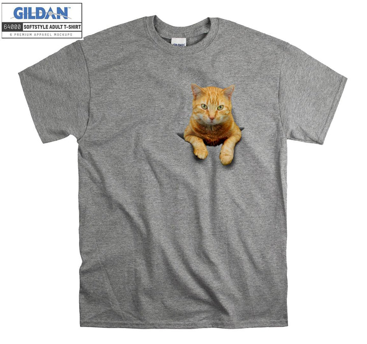 Real Cute Orange Cat Figure T-shirt