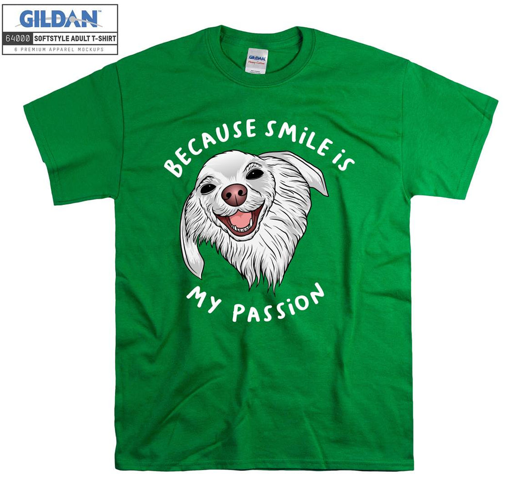 Because smile is my passion funny figure T-shirt