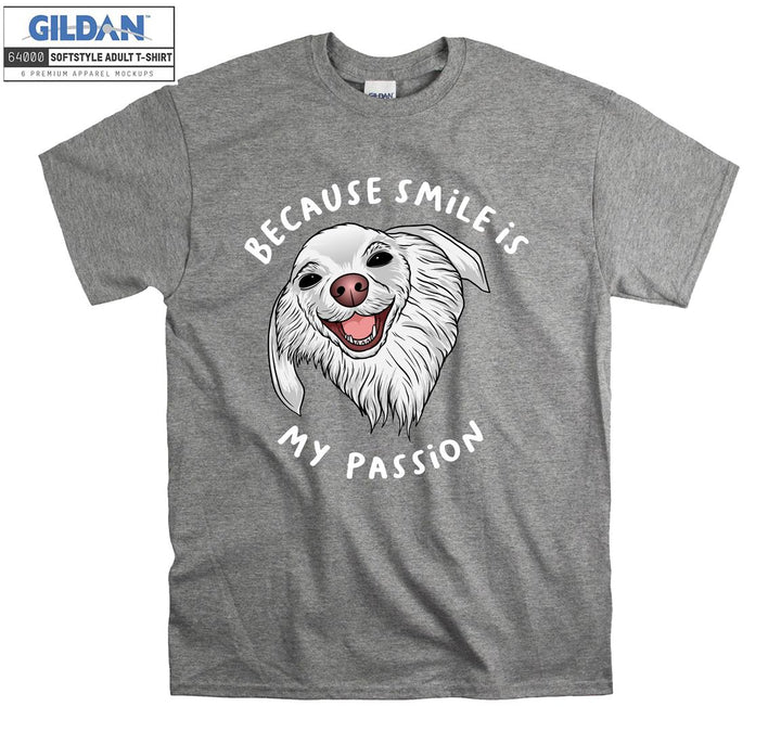 Because smile is my passion funny figure T-shirt